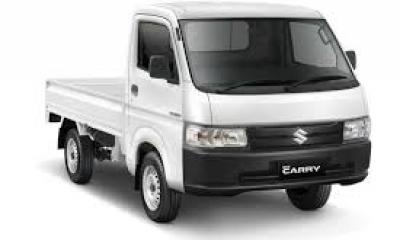 Honda New Carry Pick Up FD
